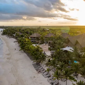 Lirios 4*, Tulum México